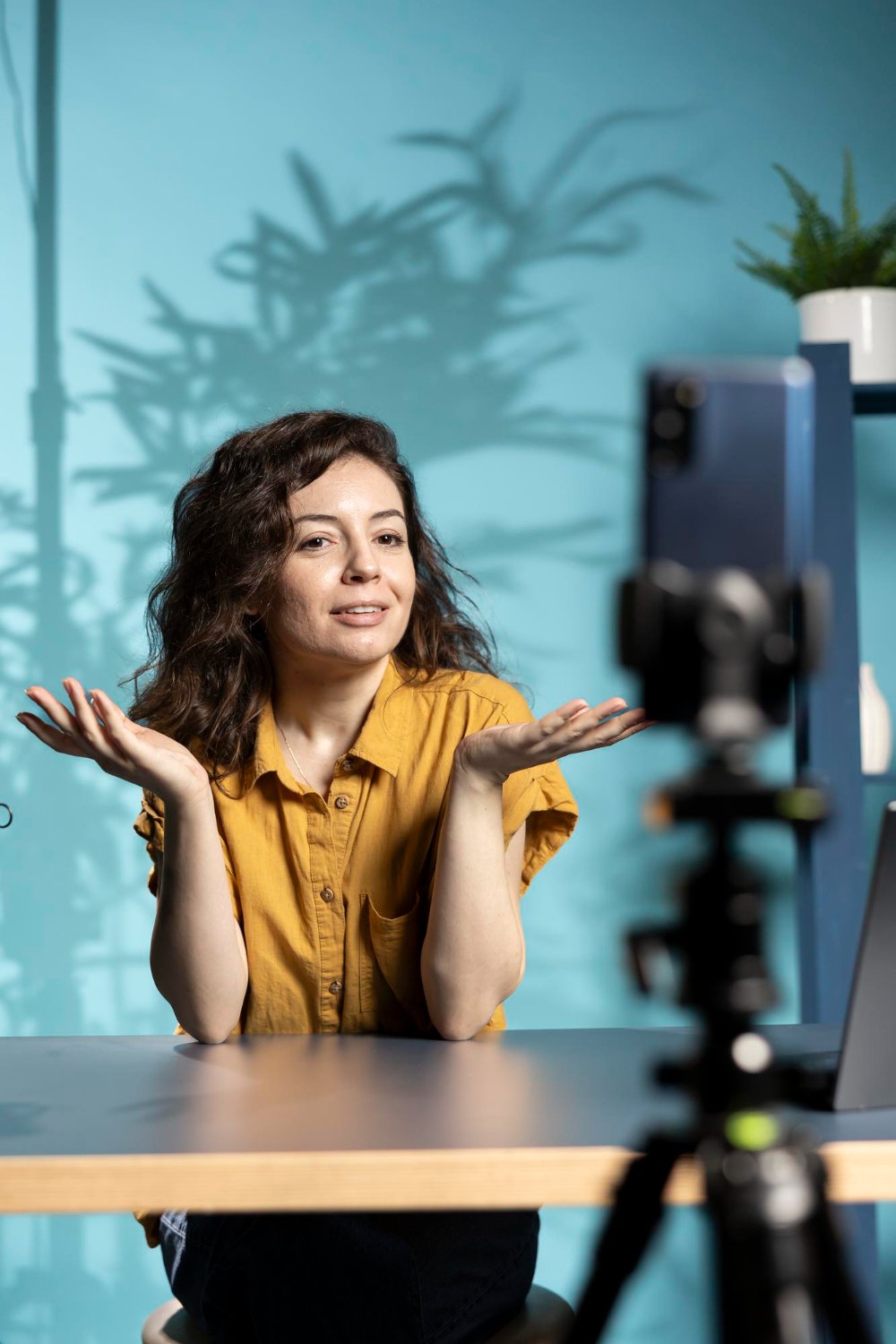 Social media content creation